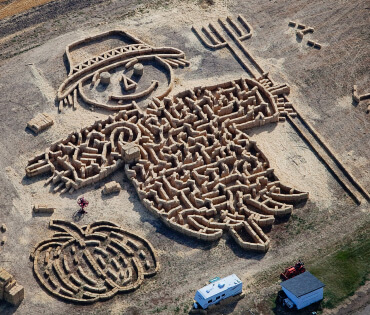 Thumbnail of Scarecrow Maze