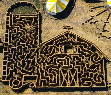 Barn and Silo Maze