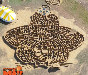 Thumbnail of Dressed Up Pumpkin