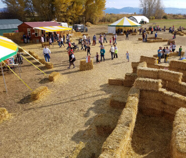 View from lookout tower toward concessions.