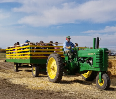 Hayride