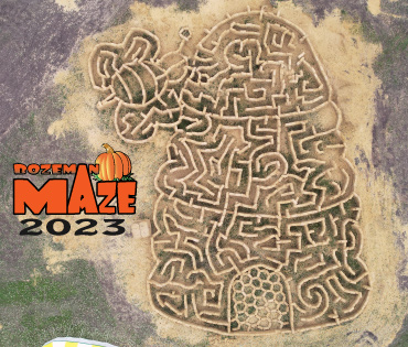 Thumbnail of Beehive Maze